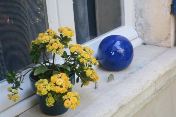 Tombe La Nefle Bed & Breakfast Avignon Exterior photo